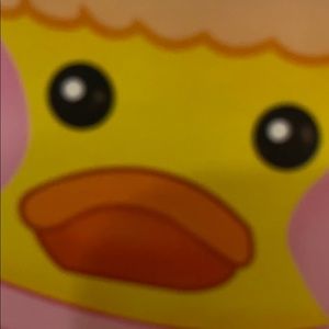 Meet your Posher, Harry